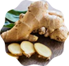 Ginger Root